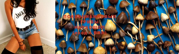 мет Кинешма