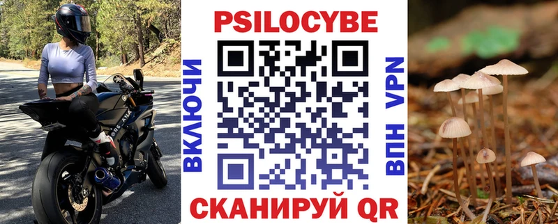 Псилоцибиновые грибы мухоморы  наркошоп  мориарти официальный сайт  Новошахтинск 