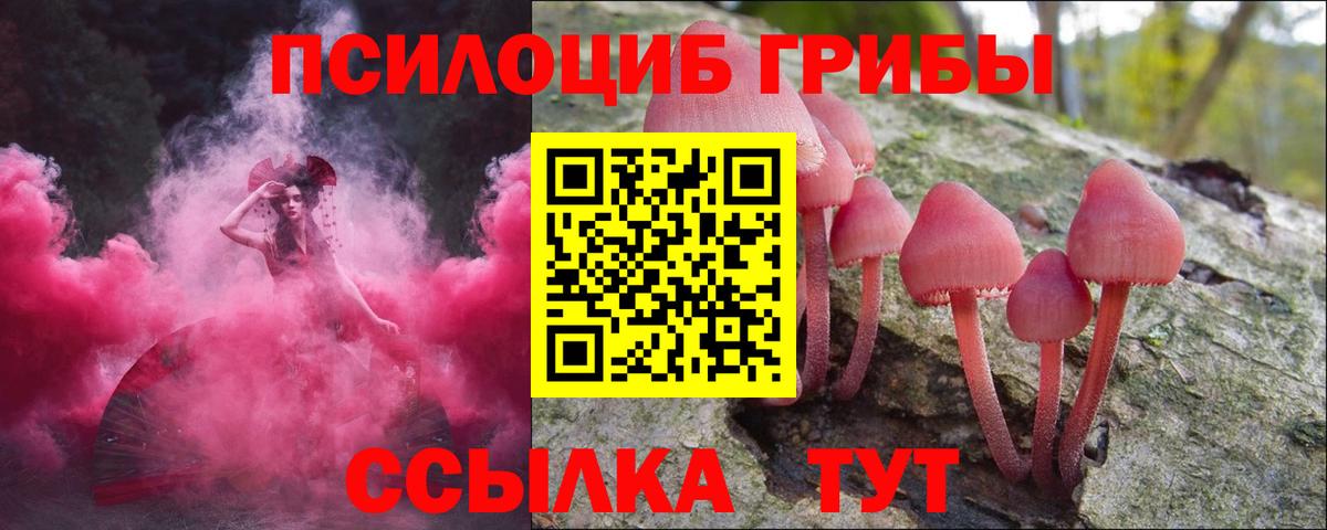 Новошахтинск  Галлюциногенные грибы Magic Shrooms  Вход с VPN  Псилоцибиновые грибы мухоморы 
