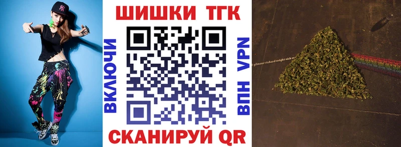 цены наркотик  Новошахтинск  Конопля сатива 