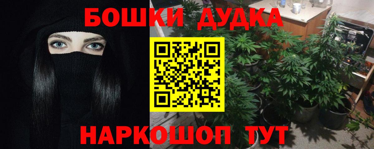 Марихуана ГИДРОПОН  МАРИХУАНА AK-47  Шишки марихуана марихуана  Новошахтинск  Бошки марихуана конопля 